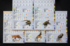 Jeudice - Palladis Games - Biotopes - Jeu de Société - Moteur
