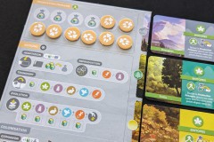 Jeudice - Palladis Games - Biotopes - Jeu de Société - Moteur