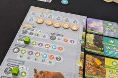 Jeudice - Palladis Games - Biotopes - Jeu de Société - Moteur