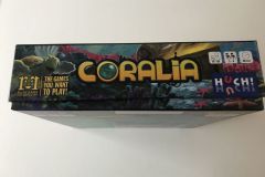 Jeudice - Huch! - R&R Games - Coralia