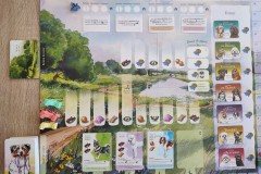Jeudice - Lucky Duck Games - Birdwood Games - Dog Park - Jeu de Société - Collection - Enchères