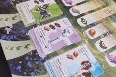 Jeudice - Lucky Duck Games - Birdwood Games - Dog Park - Jeu de Société - Collection - Enchères