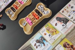 Jeudice - Lucky Duck Games - Birdwood Games - Dog Park - Jeu de Société - Collection - Enchères
