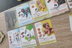 Jeudice - Lucky Duck Games - Birdwood Games - Dog Park - Jeu de Société - Collection - Enchères