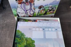 Jeudice - Lucky Duck Games - Birdwood Games - Dog Park - Jeu de Société - Collection - Enchères