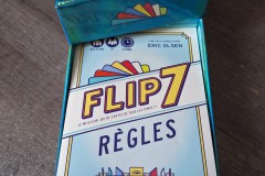 Jeudice - Catch Up Games - Flip 7 - Stop ou Encore