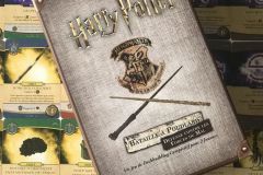 Jeudice - Usaopoly - Harry Potter Hogwarts Battle : Défense Contre Les Forces du Mal - Deck Building