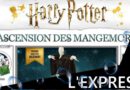 Jeudice - Lucky Duck Games - (Express) 👉 Harry Potter l'Ascension des Mangemorts