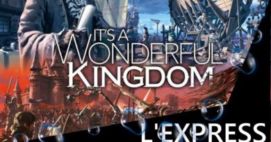 Jeudice - La Boite de Jeu - Origames - It's a Wonderful Kingdom