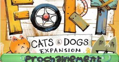 Jeudice - Matagot - Fort - Extension - Chats et Chiens