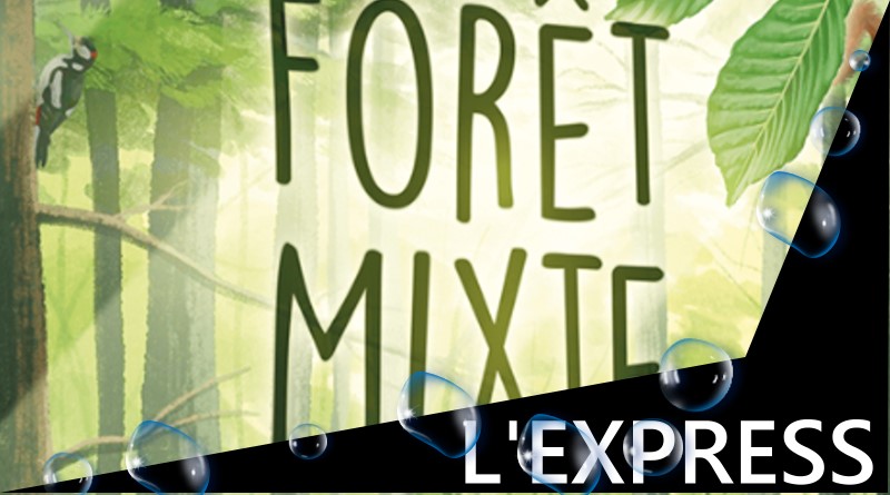 Express) - Forêt Mixte