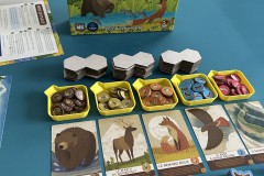 Jeudice - Lucky Duck Games - Cascadia Junior