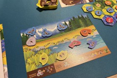 Jeudice - Lucky Duck Games - Cascadia Junior