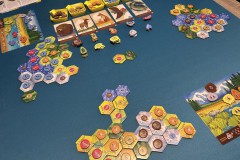 Jeudice - Lucky Duck Games - Cascadia Junior