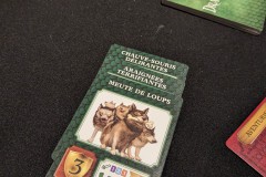 Jeudice - Offline Editions - Dragonwood - Jeu de Société