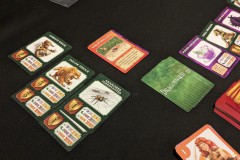 Jeudice - Offline Editions - Dragonwood - Jeu de Société