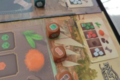 Jeudice - Atalia - East India Companies - Jeu de Société - Commerce