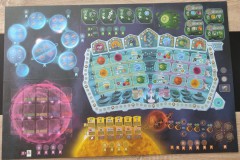 Jeudice - Explor8 - Federation - Jeu de Société - Placement d'Ouvriers