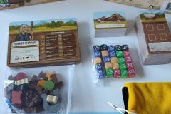 Jeudice - Atalia - Sylex édition - Tasty Minstrel Games - Les Pionniers - Jeu de société