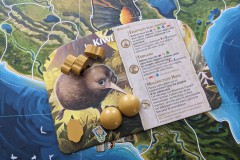 Jeudice - Débacle Jeux - Ludistri - Kauri - Jeu de Société