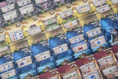 Jeudice - Débacle Jeux - Ludistri - Kauri - Jeu de Société