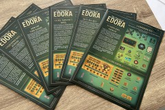 Jeudice - Ravensburger - Les Duides d'Edora - Jeu de Société 