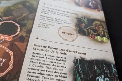 Jeudice - Ravensburger - Le Seigneur des Anneaux - Jeu Livre d'Aventure - Jeu de Société - Cartes - Figurines