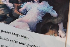 Jeudice - Double Combo Games - Mage Noir - Jeu de Société - Cartes - Deck Building