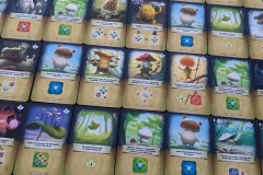 Jeudice - Ravensburger - Mycelia - Jeu de Société - Deck Building