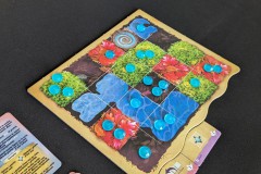 Jeudice - Ravensburger - Mycelia - Jeu de Société - Deck Building