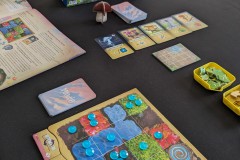 Jeudice - Ravensburger - Mycelia - Jeu de Société - Deck Building