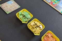 Jeudice - Ravensburger - Mycelia - Jeu de Société - Deck Building