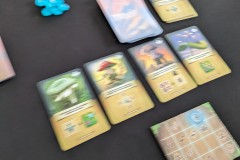 Jeudice - Ravensburger - Mycelia - Jeu de Société - Deck Building