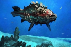 Jeudice - North Star Games - Oceans