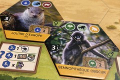 jeudice-super-meeple-sanctuary-0005