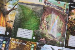 jeudice-sylex-atalia-mystic-vale-val-sauvage-17