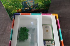 Jeudice - Lucky Duck Games - AEG - Flatout Games - Verdant - Jeu de Société - Collection - Placement