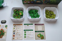 Jeudice - Lucky Duck Games - AEG - Flatout Games - Verdant - Jeu de Société - Collection - Placement
