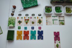 Jeudice - Lucky Duck Games - AEG - Flatout Games - Verdant - Jeu de Société - Collection - Placement