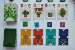 Jeudice - Lucky Duck Games - AEG - Flatout Games - Verdant - Jeu de Société - Collection - Placement