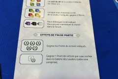 Festival de Vichy Pro 2025 - 7 Wonders Dice