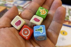 Festival de Vichy Pro 2025 - 7 Wonders Dice