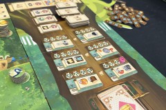 Festival de Vichy Pro 2025 - Kingdom Crossing