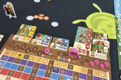 Festival de Vichy Pro 2025 - Kingdom Crossing