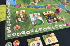 Festival de Vichy Pro 2025 - Kingdom Crossing