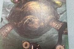 Festival de Vichy Pro 2025 - Légion