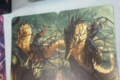 Festival de Vichy Pro 2025 - Légion