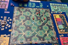 Festival de Vichy Pro 2025 - Les Druides d'Edora