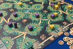 Festival de Vichy Pro 2025 - Les Druides d'Edora