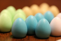 jeudice_matagot_wingspan_10